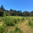  Land for sale in Vichuquen, Curico, Vichuquen