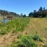  Land for sale in Vichuquen, Curico, Vichuquen