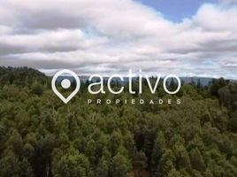  Land for sale in Mariquina, Valdivia, Mariquina