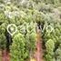  Land for sale in Mariquina, Valdivia, Mariquina
