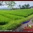  Land for sale in Selemadeg, Tabanan, Selemadeg