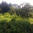  Grundstück zu verkaufen in Huitzilac, Morelos, Huitzilac