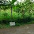  Land for sale in Donomulyo, Malang Regency, Donomulyo