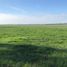  Terreno (Parcela) en venta en Ñuble, Chillan, Diguillín, Ñuble