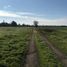  Terreno (Parcela) en venta en Ñuble, Chillan, Diguillín, Ñuble