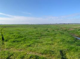 Terreno (Parcela) en venta en Ñuble, Chillan, Diguillín, Ñuble