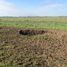  Terreno (Parcela) en venta en Ñuble, Chillan, Diguillín, Ñuble