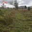  Land for sale in San Pablo, Otavalo, San Pablo