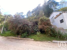  Terreno (Parcela) en venta en San Cristobal De Las Casas, Chiapas, San Cristobal De Las Casas