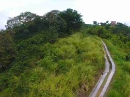  Land for sale in Manizales, Caldas, Manizales