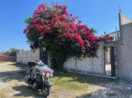 Maison 3 chambre à vendre à Tepoztlan, Morelos, Tepoztlan