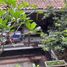 2 Schlafzimmer Haus zu verkaufen in Sumurbandung, West Jawa, Sumurbandung, Bandung, West Jawa, Indonesien