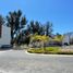  Terreno (Parcela) en venta en Tehuacan, Puebla, Tehuacan, Puebla