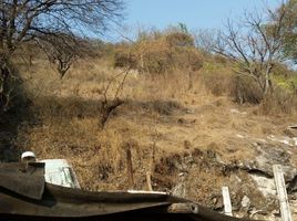  Terreno (Parcela) en venta en Iguala De La Independencia, Guerrero, Iguala De La Independencia