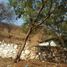  Terreno (Parcela) en venta en Iguala De La Independencia, Guerrero, Iguala De La Independencia