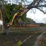 2 Bedroom Villa for sale in Tizimin, Yucatan, Tizimin