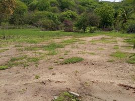  Grundstück zu verkaufen in Dist Juquila, Oaxaca, Dist Juquila