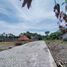  Land for sale in Yogyakarta, Kalasan, Sleman, Yogyakarta