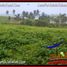  Land for sale in Selemadeg, Tabanan, Selemadeg