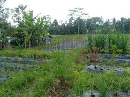  Land for sale in Marga, Bali, Marga