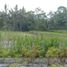  Land for sale in Marga, Bali, Marga