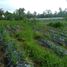  Land for sale in Marga, Bali, Marga
