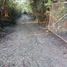  Terreno (Parcela) en venta en Santiago, Nuevo León, Santiago
