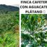 4 Schlafzimmer Villa zu verkaufen in Pijao, Quindio, Pijao