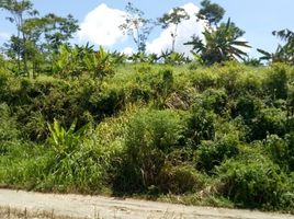 Terreno (Parcela) en venta en Padalarang, West Jawa, Padalarang, Bandung, West Jawa