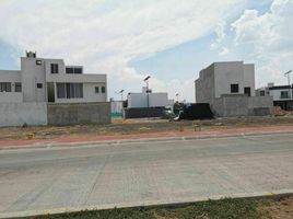 Terrain à vendre à Irapuato, Guanajuato, Irapuato