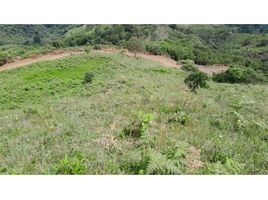  Land for sale in Sabaneta, Antioquia, Sabaneta