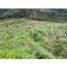  Land for sale in Sabaneta, Antioquia, Sabaneta