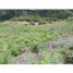  Land for sale in Sabaneta, Antioquia, Sabaneta