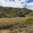  Land for sale in Gonzanama, Loja, Sacapalca, Gonzanama