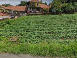  Tanah for sale in Bogor, West Jawa, Ciampea, Bogor