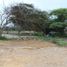  Terreno (Parcela) en venta en Manglaralto, Santa Elena, Manglaralto