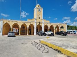  Land for sale in Sinanche, Yucatan, Sinanche