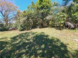  Terrain for sale in Palmira, Boquete, Palmira