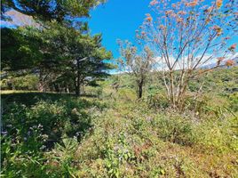  Grundstück zu verkaufen in Boquete, Chiriqui, Palmira