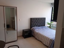 1 Habitación Apartamento en alquiler en Parque de los Pies Descalzos, Medellín, Medellín