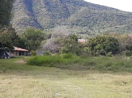  Grundstück zu verkaufen in Jocotepec, Jalisco, Jocotepec