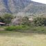  Land for sale in Jocotepec, Jalisco, Jocotepec