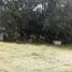  Land for sale in Jocotepec, Jalisco, Jocotepec