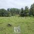  Land for sale in Ayahualulco, Veracruz, Ayahualulco