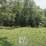  Land for sale in Ayahualulco, Veracruz, Ayahualulco