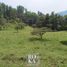  Land for sale in Ayahualulco, Veracruz, Ayahualulco