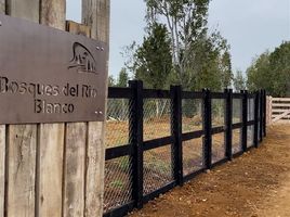  Terreno (Parcela) en venta en Chile, Fresia, Llanquihue, Los Lagos, Chile
