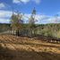  Terreno (Parcela) en venta en Chile, Fresia, Llanquihue, Los Lagos, Chile