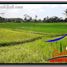  Land for sale in Tampak Siring, Gianyar, Tampak Siring