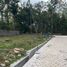 2 침실 주택을(를) Gunung Kidul, Yogyakarta에서 판매합니다., Tepus, Gunung Kidul